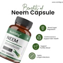 neem-extract-capsules-standardized-to-10-61fnu2gi0PL.jpg