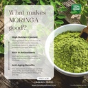 100-organic-moringa-powder-moringa-leaf--81DNG0X-jfL.jpg