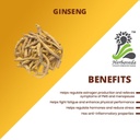 panax-ginseng-root-for-instant-energy-an-613Q8oHi8RL.jpg