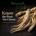 indian-jadi-booti-panax-ginseng-root-for-715C1CwhMCL.jpg