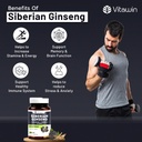 siberian-ginseng-for-improve-immunity-bo-61x9nUiPxfL.jpg