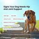 absolut-pet-hip-joint-chews-for-dogs-glu-61Am70AQqgL.jpg