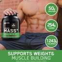 optimum-nutrition-on-serious-mass-high-p-71-VZm83SsL.jpg