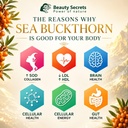 himalayan-sea-buckthorn-capsules-15000-m-71EXusQAp+L.jpg