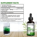 organic-chlorophyll-liquid-drops-natural-61jBdo1NTUL.jpg
