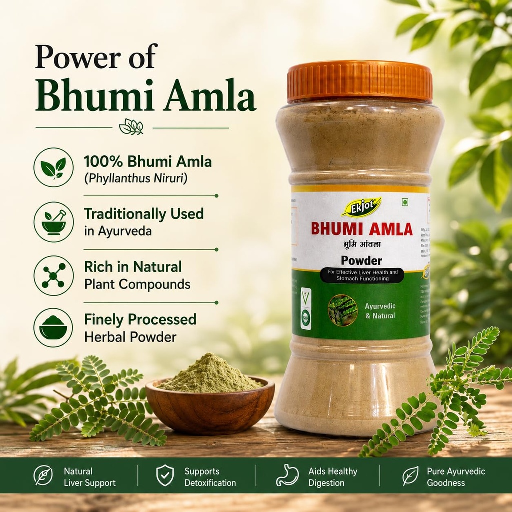 bhumi-amla-powder-churn-organic-and-pure-71CRinx0EyL.jpg