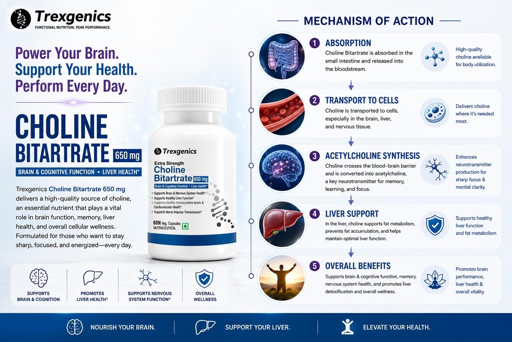 trexgenics-choline-bitartrate-650-mg-cog-71OPQgbapJL.jpg
