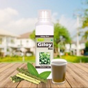 giloy-ras-500ml-61WGCIXDRRL.jpg