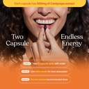 cordyceps-militaris-extract-30-capsules--81h2dPpNf1L.jpg