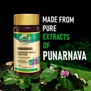 zandu-punarnava-capsules-with-goodness-o-71fKOcBP9fL.jpg