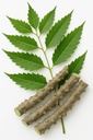natural-neem-giloy-fresh-plant-sticks-6--71WcTEqkfuL.jpg