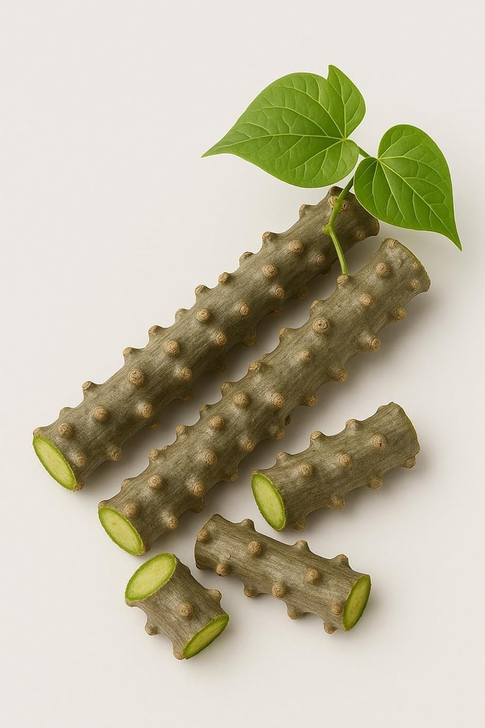 natural-neem-giloy-fresh-plant-sticks-6--61JxeZyFo9L.jpg
