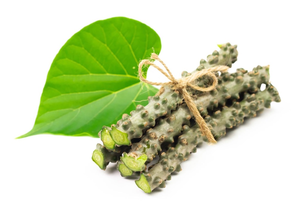 neem-giloy-sticks-guduchi-giloi-bel-6-in-612SKbhN0UL.jpg