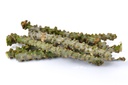 neem-giloy-sticks-guduchi-giloi-bel-6-in-61wiT3xr0LL.jpg