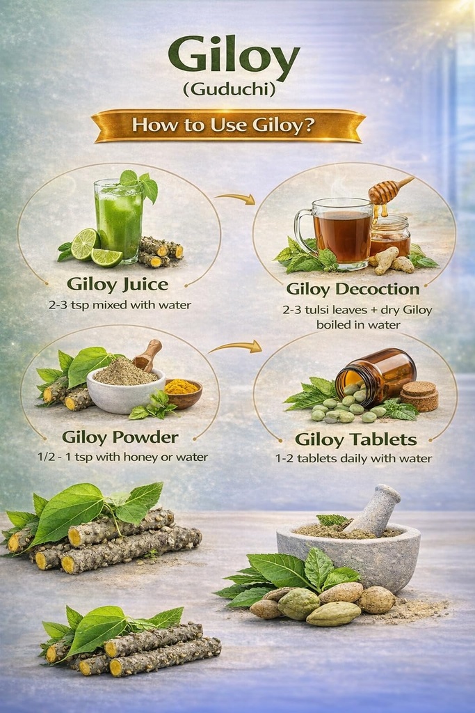 sgp-natural-giloy-neem-fresh-plant-stems-71I6eRlWVbL.jpg