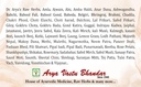 dr-arya-s-arjun-ki-chaal-400-gm-dried-ar-81P63TAGujL.jpg
