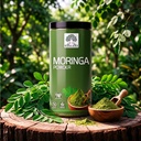 moringa-powder-1-kg-500-gm-500-gm-organi-81ik+plulfL.jpg