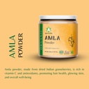 ayurvedix-organic-amla-powder-for-hair-g-714iD3nDdlL.jpg
