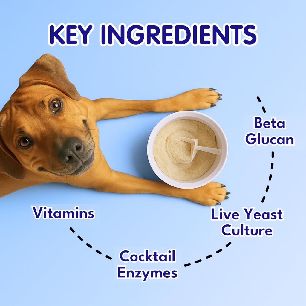 petroyale-digestive-probiotics-for-dogs--81suNp+Vp6L.jpg