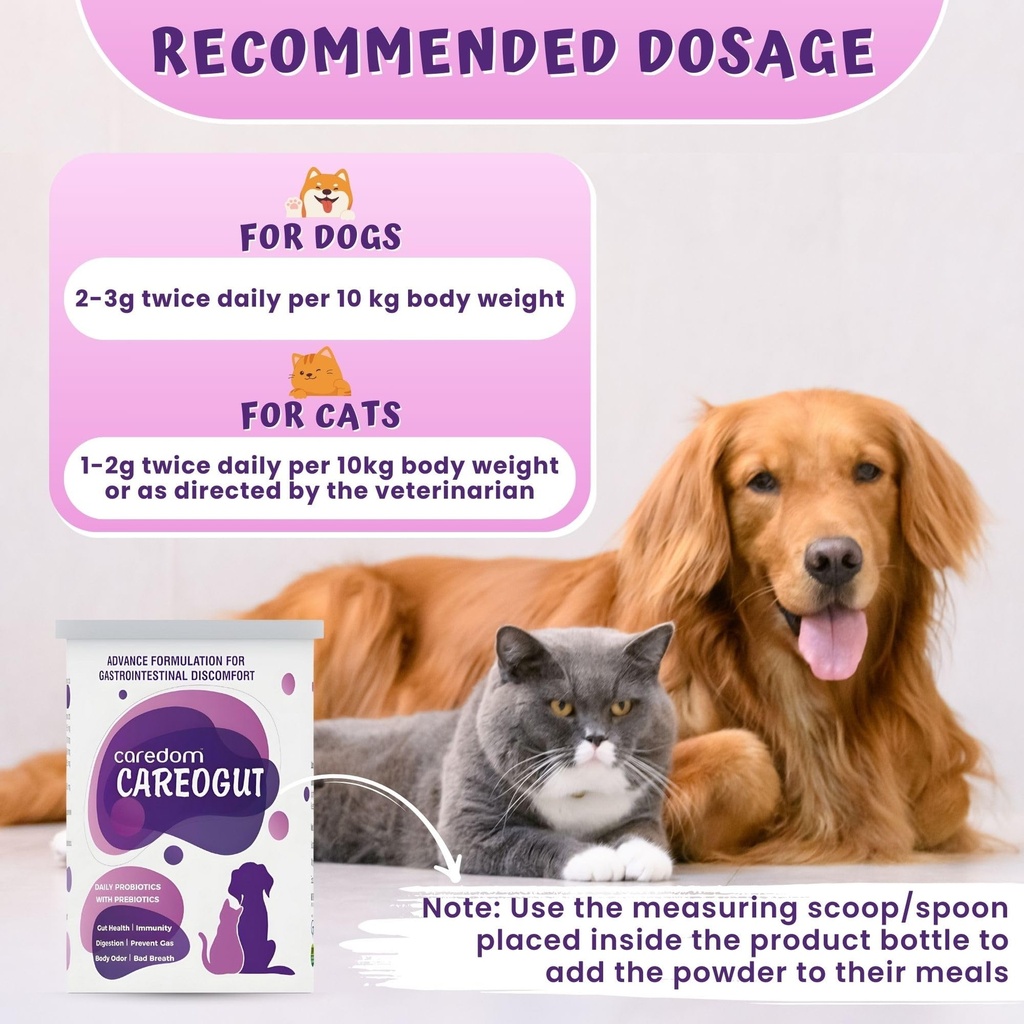 careogut-prebiotics-probiotics-for-dogs--81bmq3XHVjL.jpg