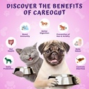 careogut-prebiotics-probiotics-for-dogs--81e-Nrrj3sL.jpg