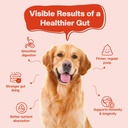 blep-super-gut-booster-dog-probiotic-sof-71EZ4Ac0TPL.jpg