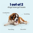 hope-pre-probiotics-supplement-for-dogs--61PD5SxtbEL.jpg