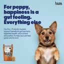 hope-pre-probiotics-supplement-for-dogs--71ILawcBkTL.jpg