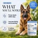 dog-gut-health-supplement-powder-6-billi-71ynVC3xoWL.jpg