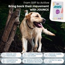 jounce-hip-joint-supplement-for-dogs-30--71qCBhGImIL.jpg