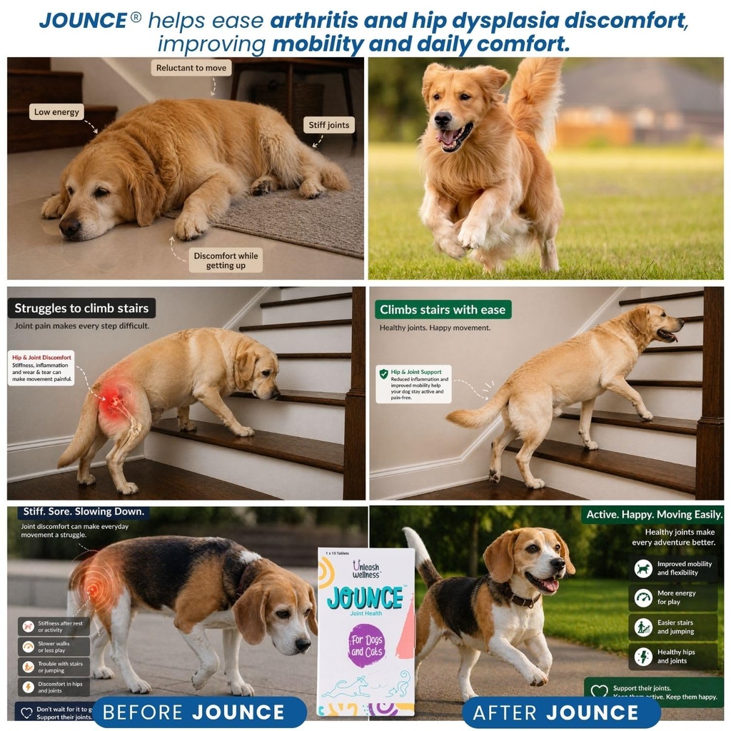jounce-hip-joint-supplement-for-dogs-30--81eYkazAnzL.jpg