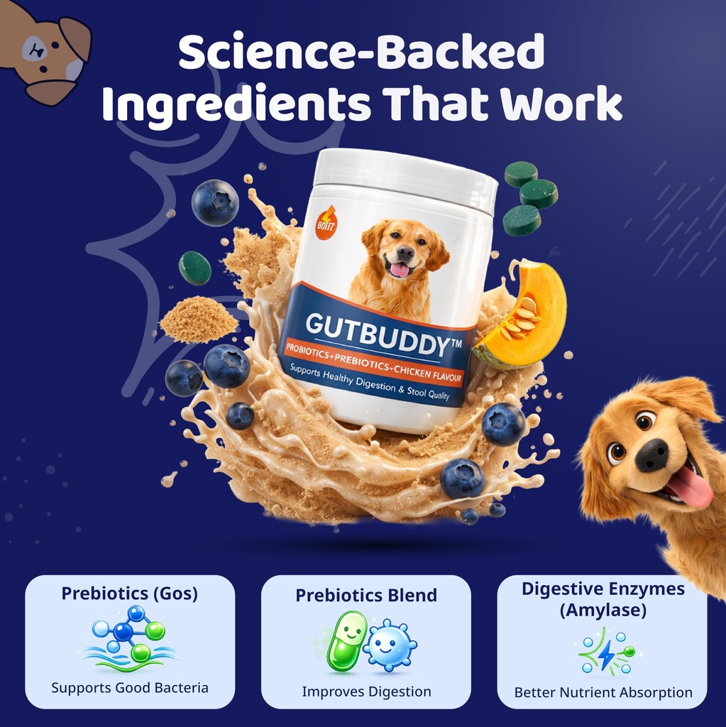 boltz-pre-probiotics-for-dogs-200g-9b-cf-81A+kVWzYxL.jpg