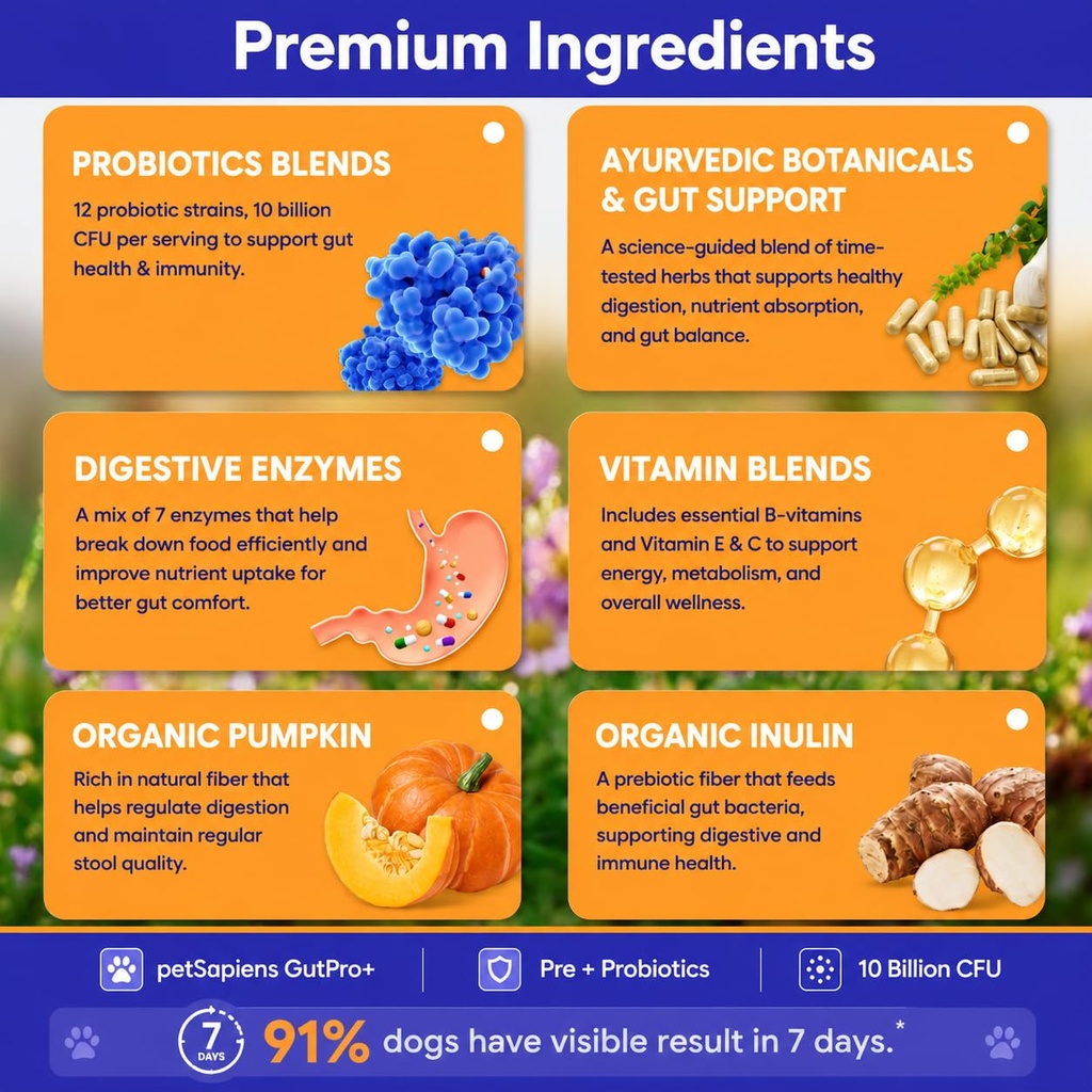 petsapiens-pre-probiotic-supplement-120g-71nJN02rQgL.jpg