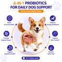 petsapiens-pre-probiotic-supplement-120g-71T37soM9uL.jpg
