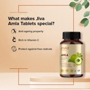 jiva-amla-tablets-500mg-360-tablet-100-p-61ErUomREjL.jpg