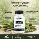giloy-500mg-60-veg-capsules-guduchi-ayur-71xTe7AFCZL.jpg