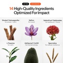 stasis-daytime-stimulant-support-supplem-71WgcjvYWhL.jpg