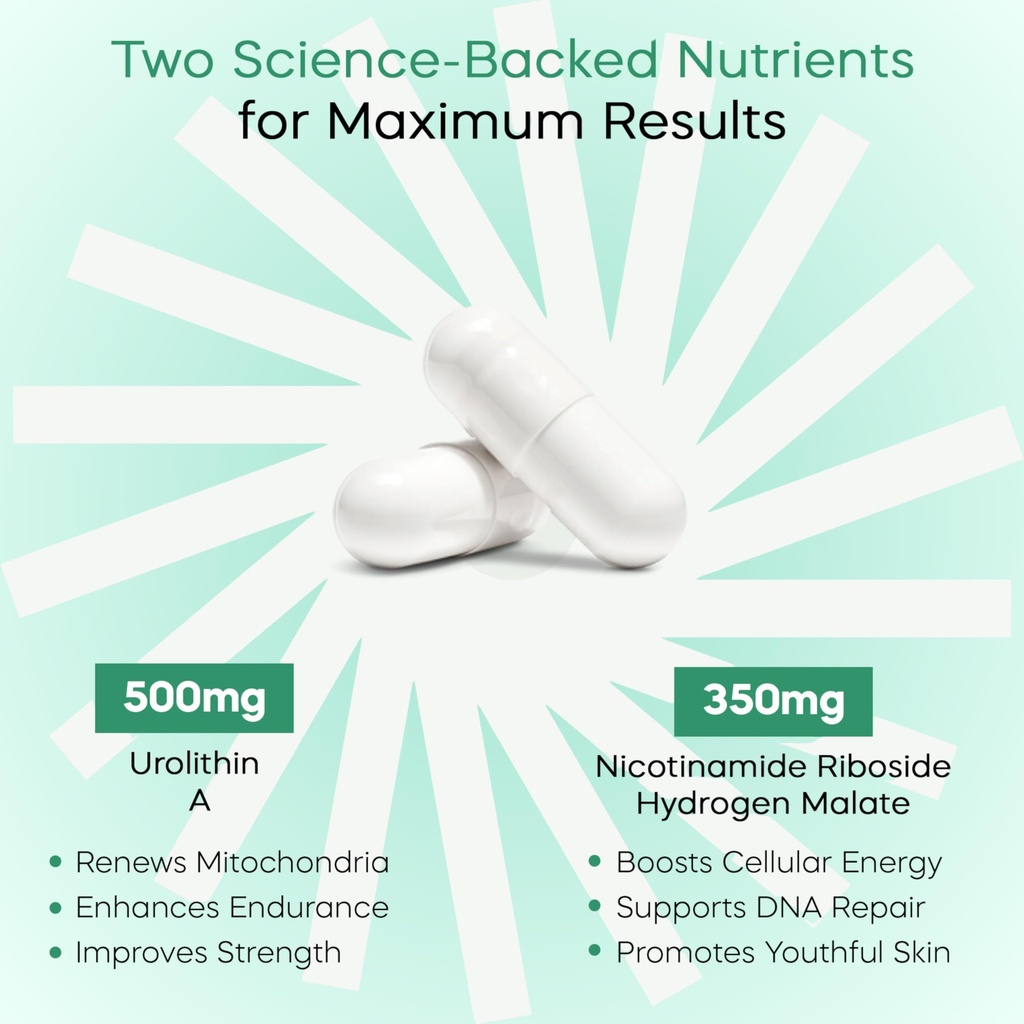 urolithin-a-500mg-nad-supplement-60-caps-71aa7HAdo1L.jpg