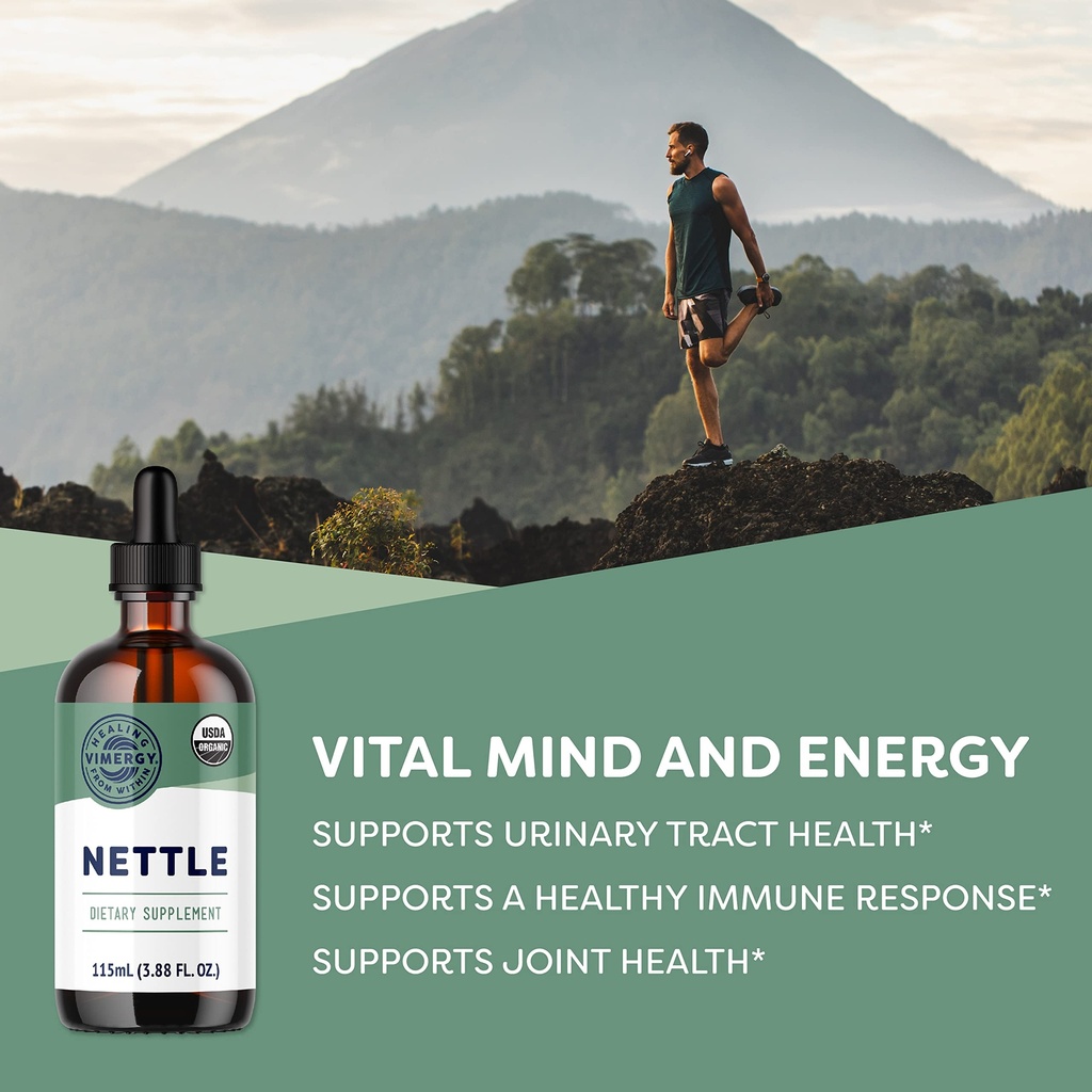 nettle-leaf-10-1-extract-usda-organic-jo-81Mth5eu6SL.jpg