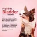 potassium-supplement-for-dogs-and-cats-3-6.jpg