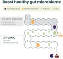 momstamin-2-fl-pre-probiotics-for-kids4--5.jpg