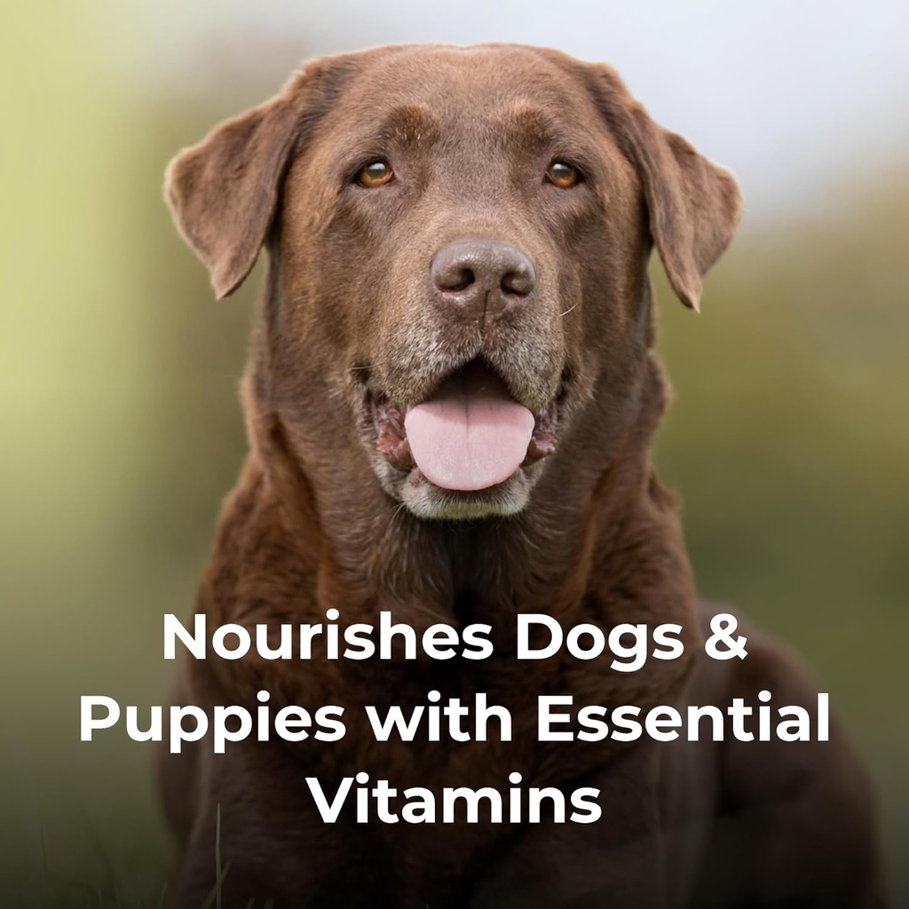 petag-dyne-pro-hg-healthy-gut-for-dogs-p-5.jpg