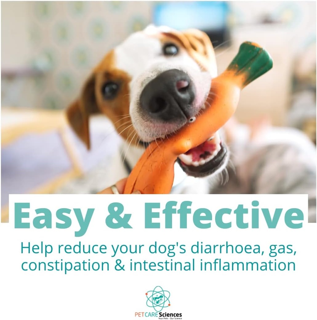 approx-120-servings-of-dog-probiotic-pow-4.jpg