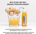 gngr-vitamin-c-immunity-booster-cold-pre-3.jpg
