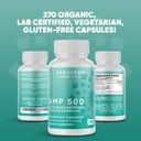 amp-organic-aloe-glyconutrient-supplemen-6.jpg