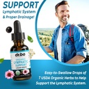 kidney-bladder-lymphatic-drainage-supple-5.jpg