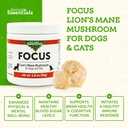 animal-essentials-focus-lions-mane-mushr-2.jpg