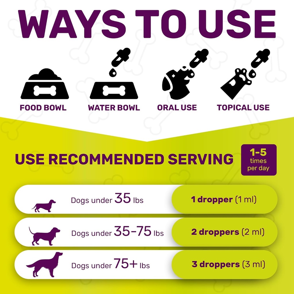 yeast-infection-treatment-for-dogs-dog-e-6.jpg
