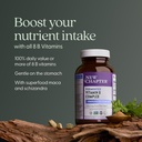 new-chapter-organic-fermented-vitamin-b--3.jpg