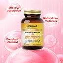 astaxanthin-12mg-60-softgels-supports-jo-3.jpg